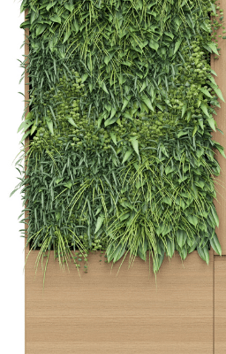 Aako-Storage-Garden.png