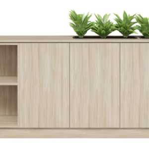 Bea-Credenza.png