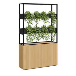 cafe-planter_0a9b8eec-9ad8-44ff-b945-30d694b47d42.png